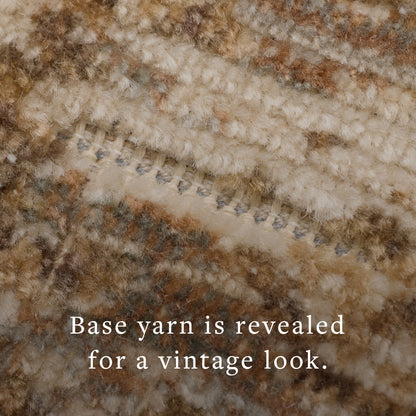 Loloi Area Rug