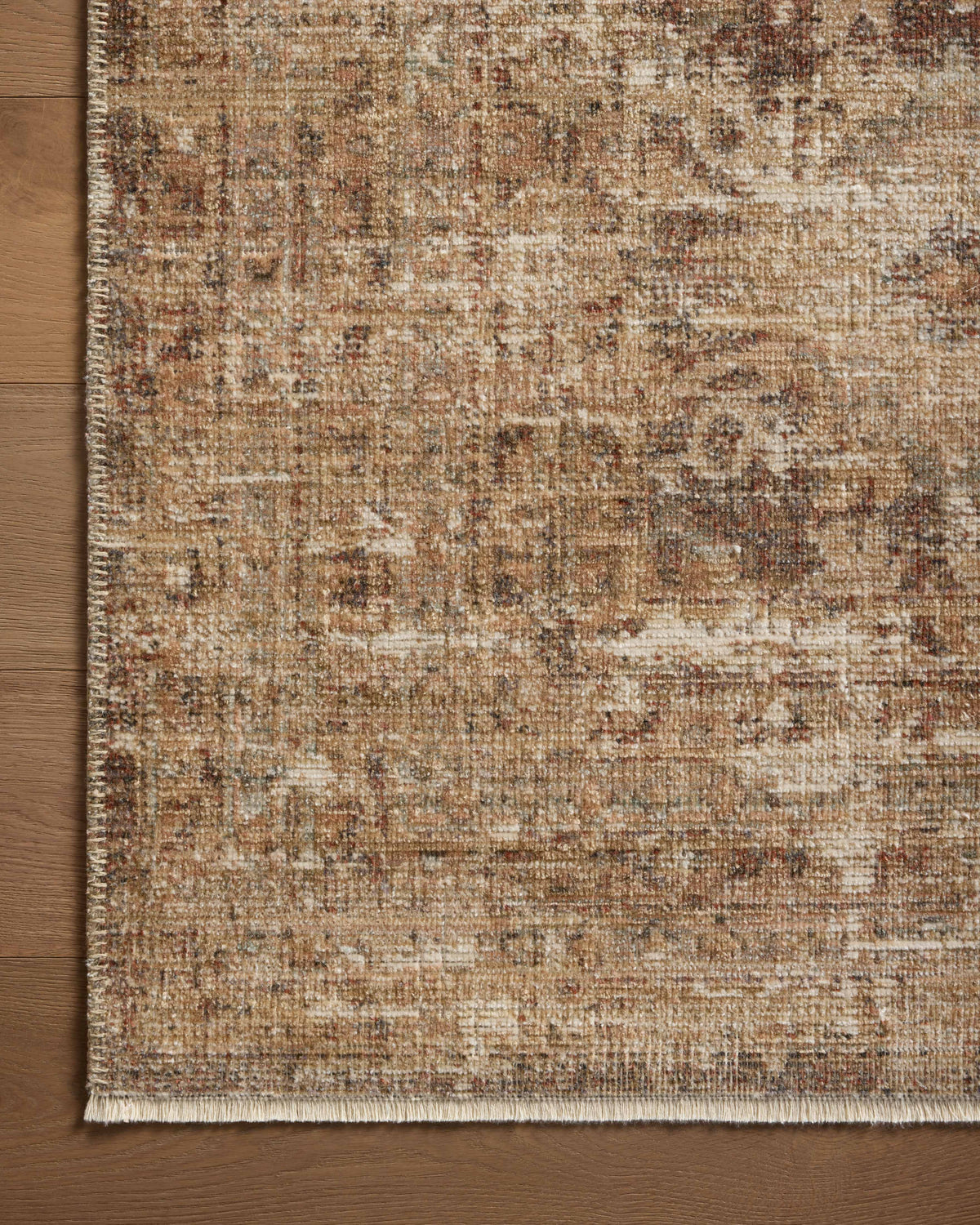 Loloi Area Rug
