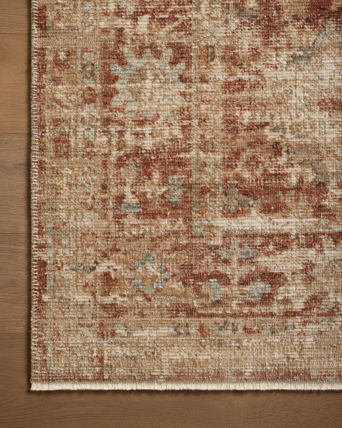 Loloi Area Rug