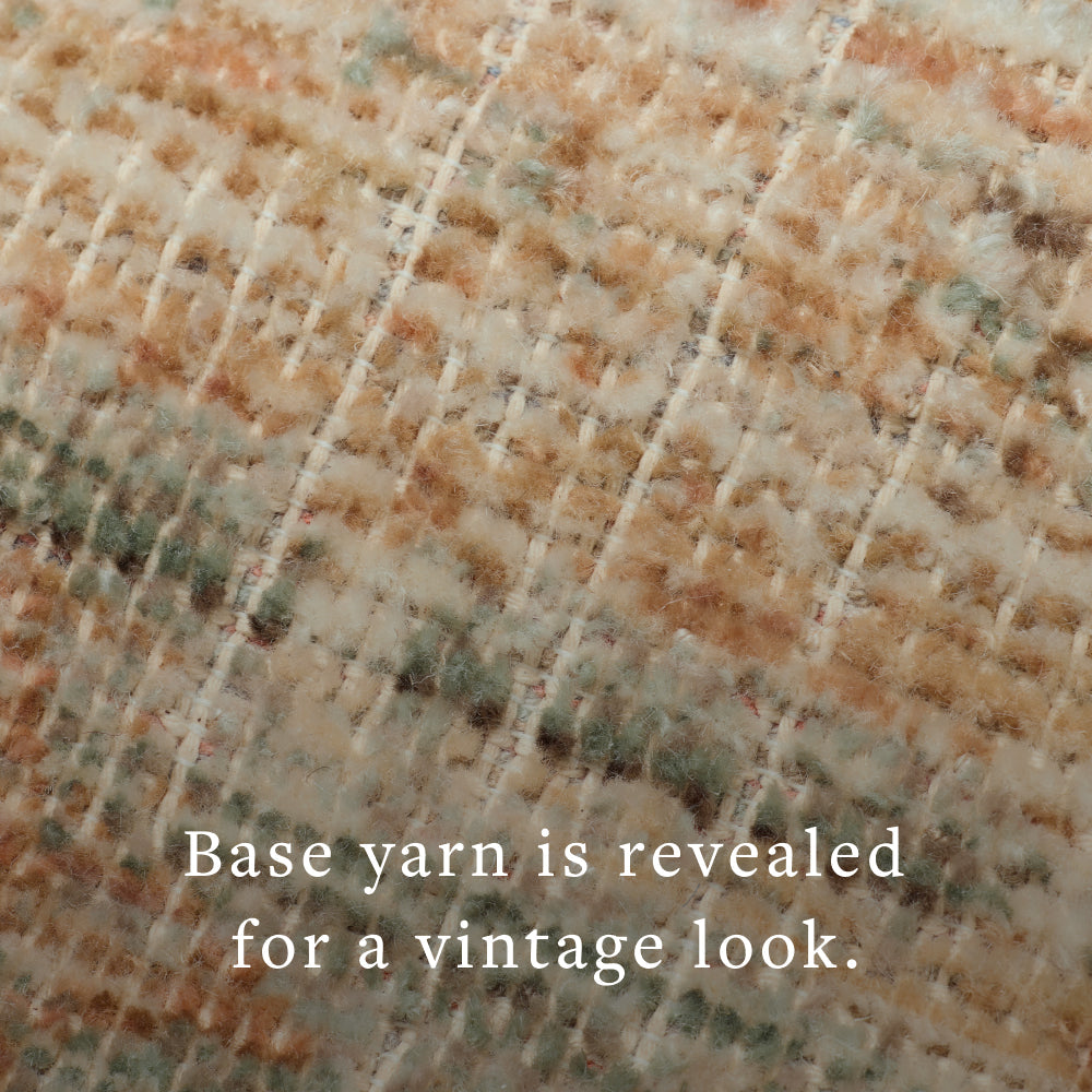 Loloi Area Rug