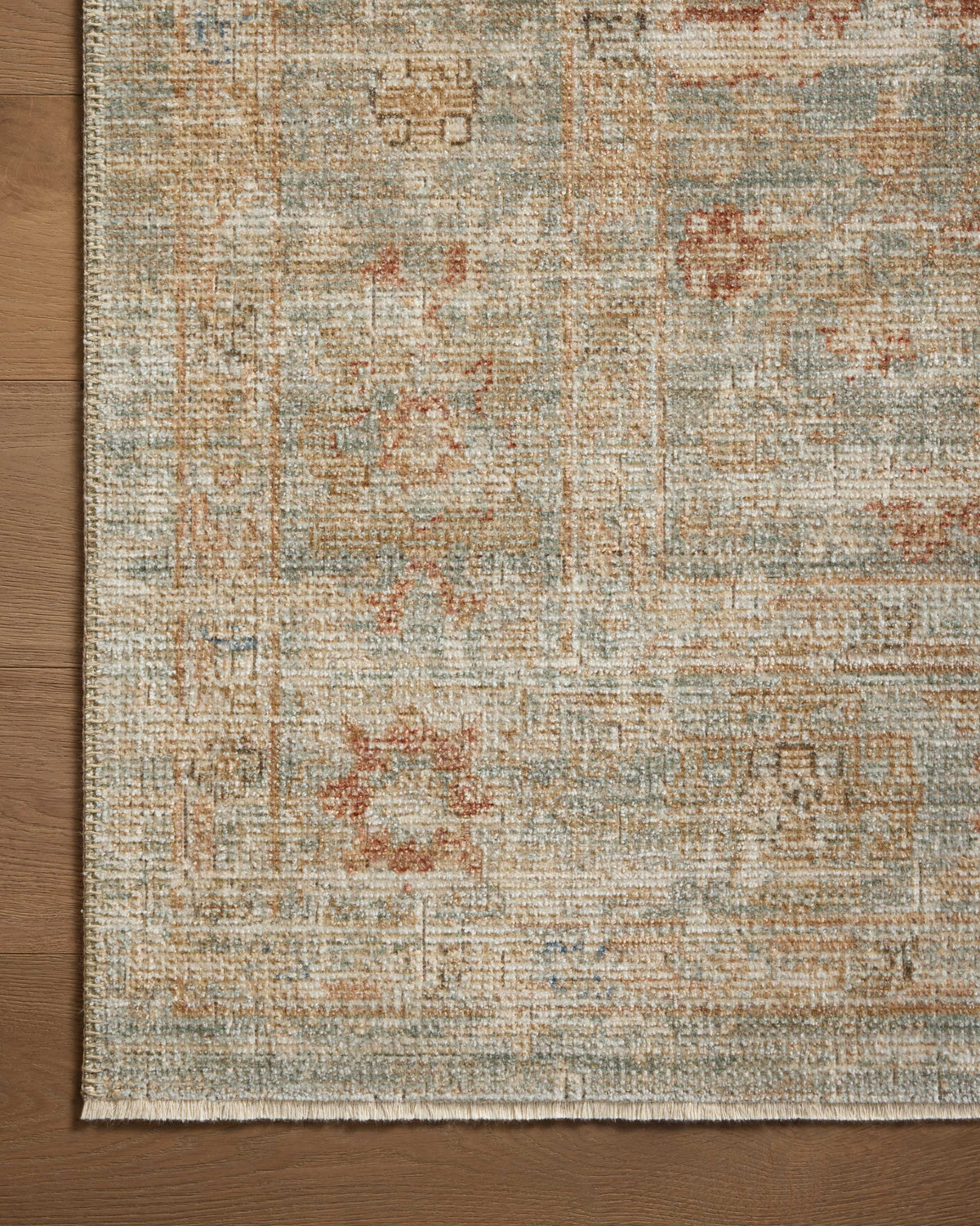 Loloi Area Rug