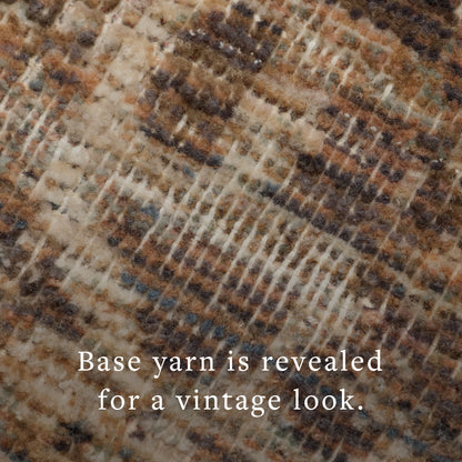 Loloi Area Rug