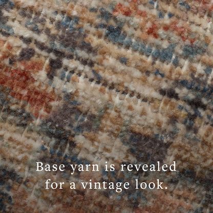 Loloi Area Rug