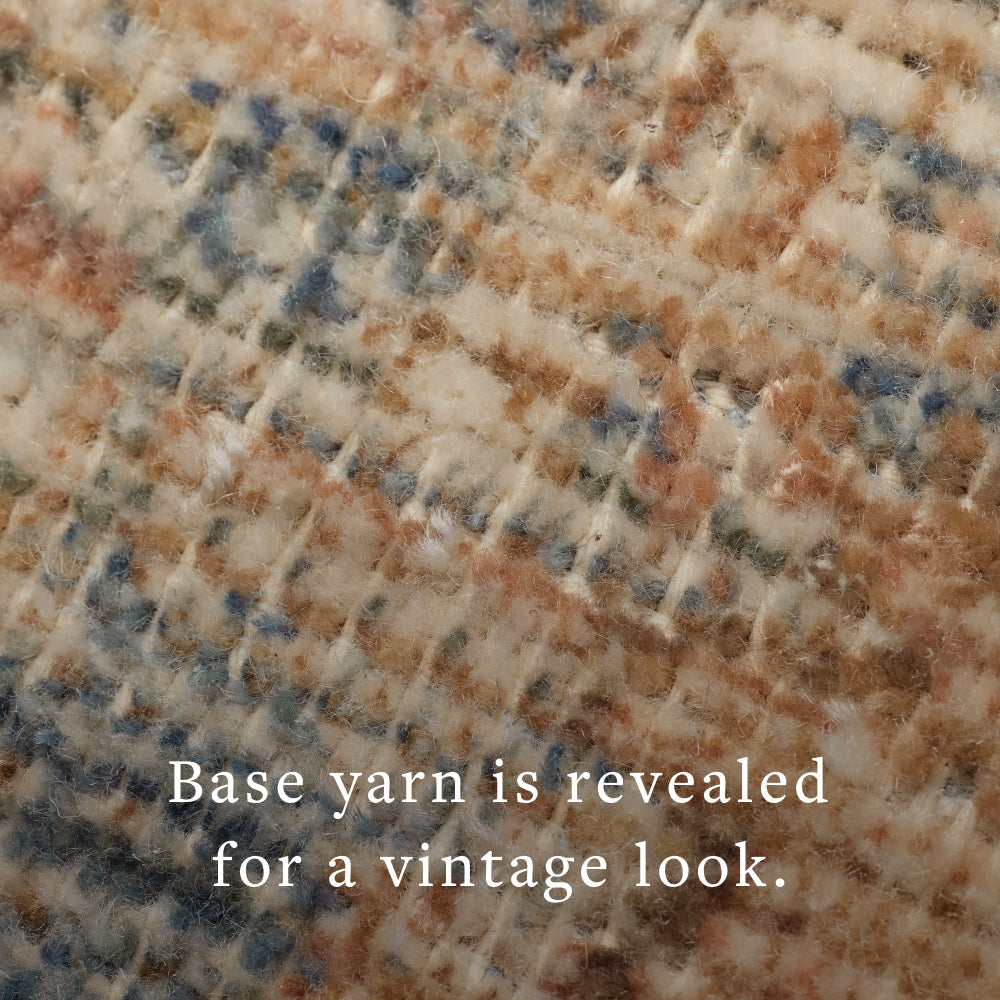 Loloi Area Rug
