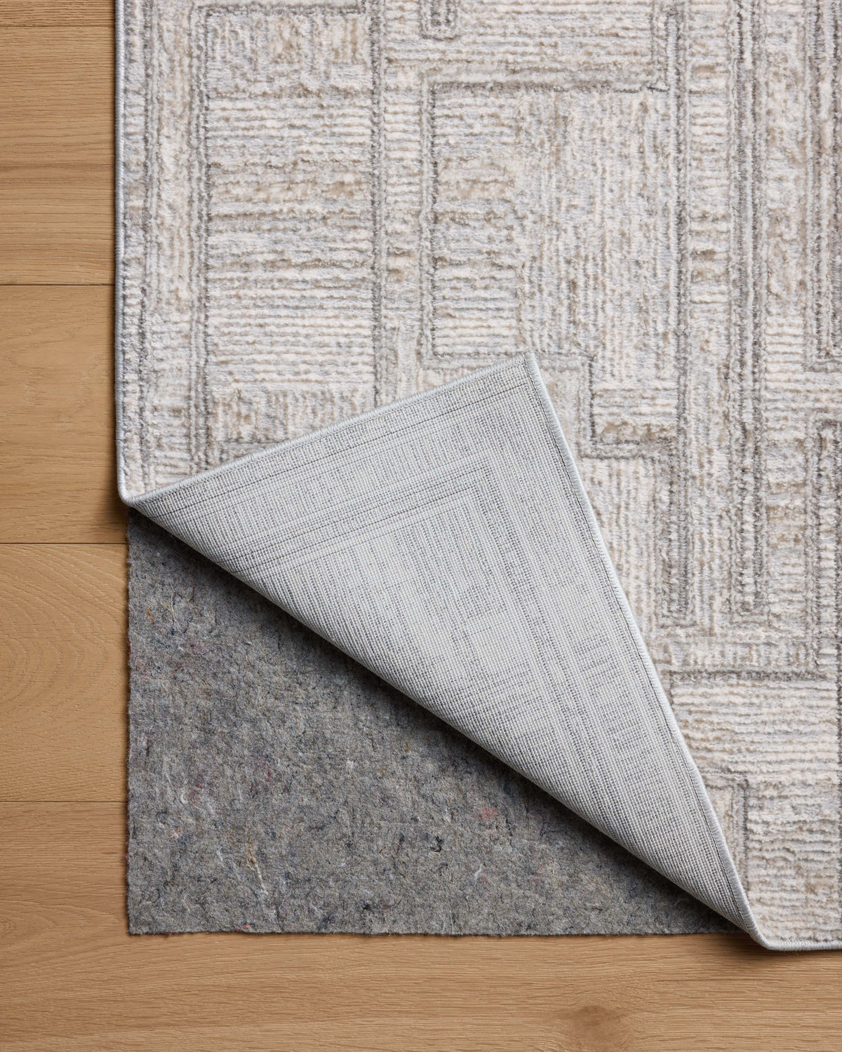Loloi Area Rug