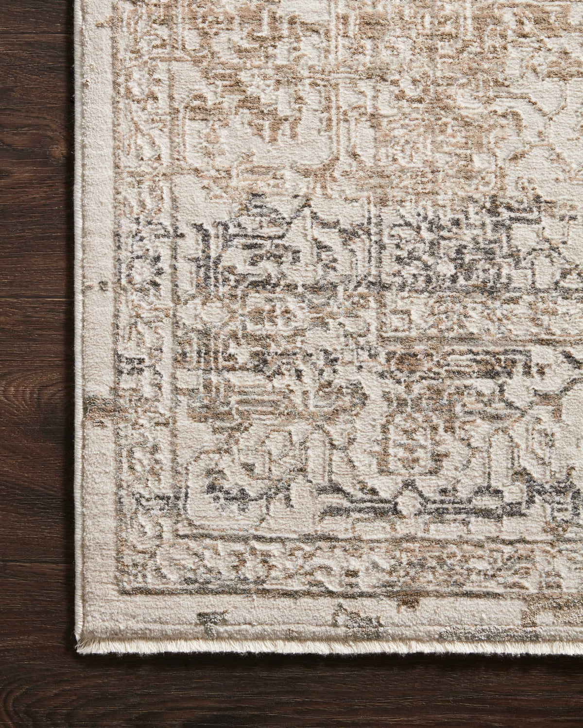 Loloi Area Rug