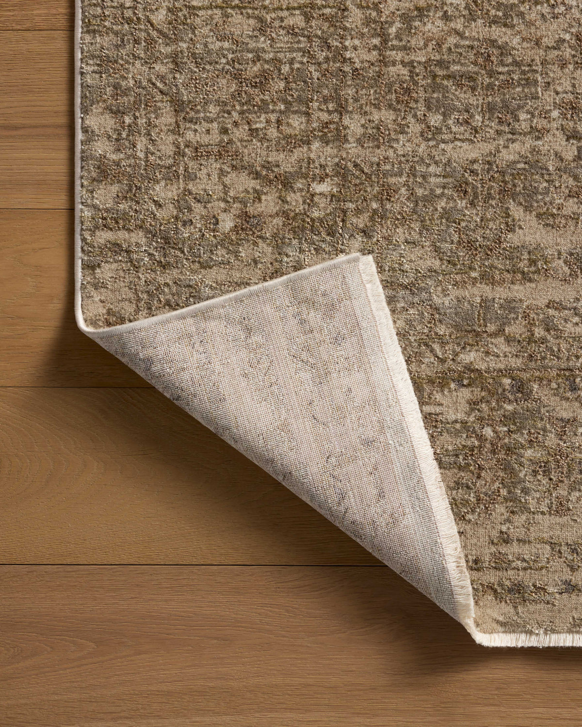 Loloi Area Rug