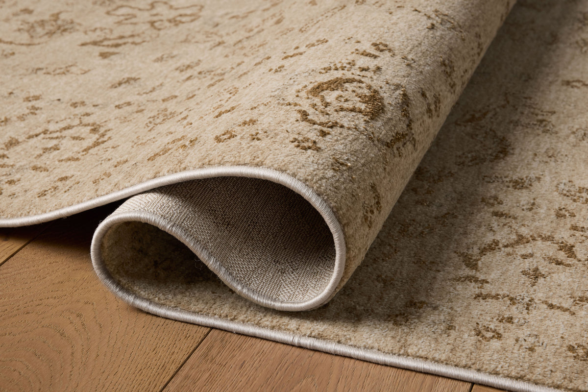 Loloi Area Rug