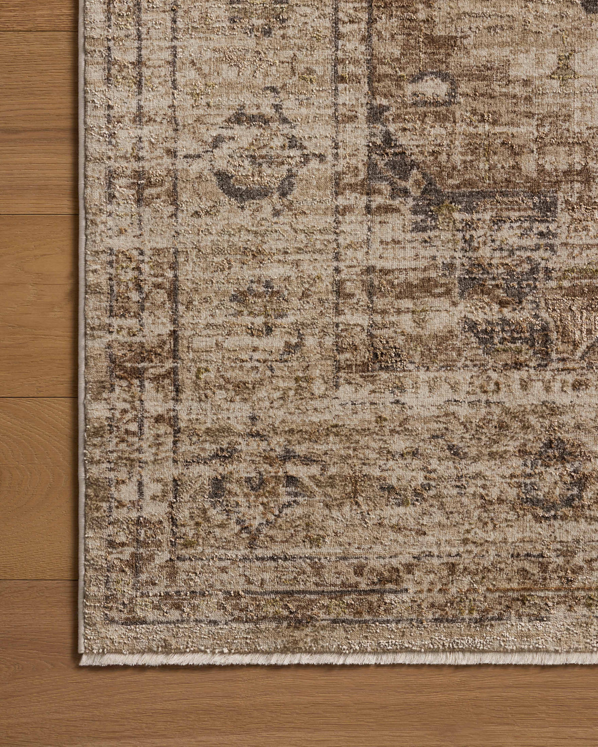 Loloi Area Rug