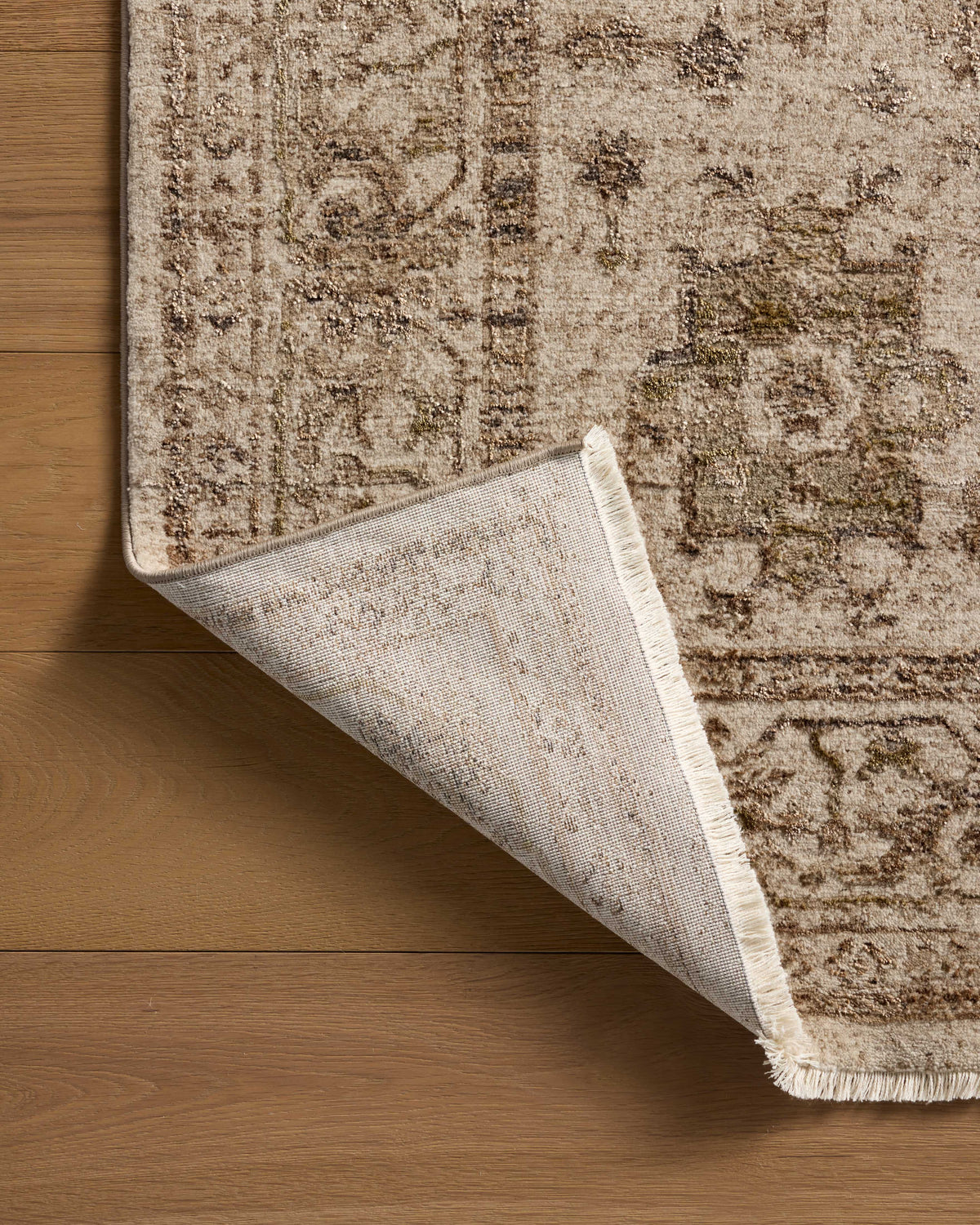 Loloi Area Rug
