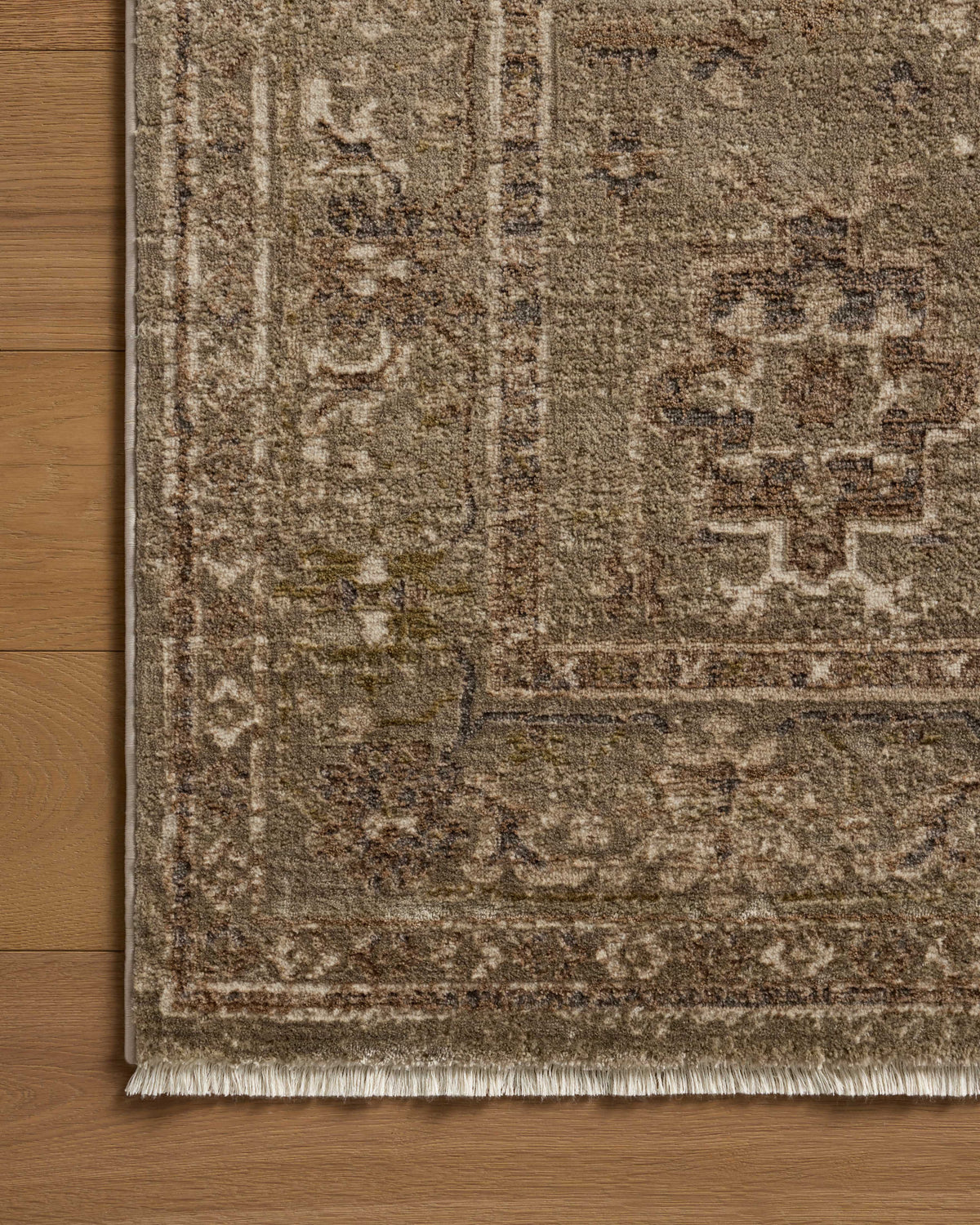 Loloi Area Rug