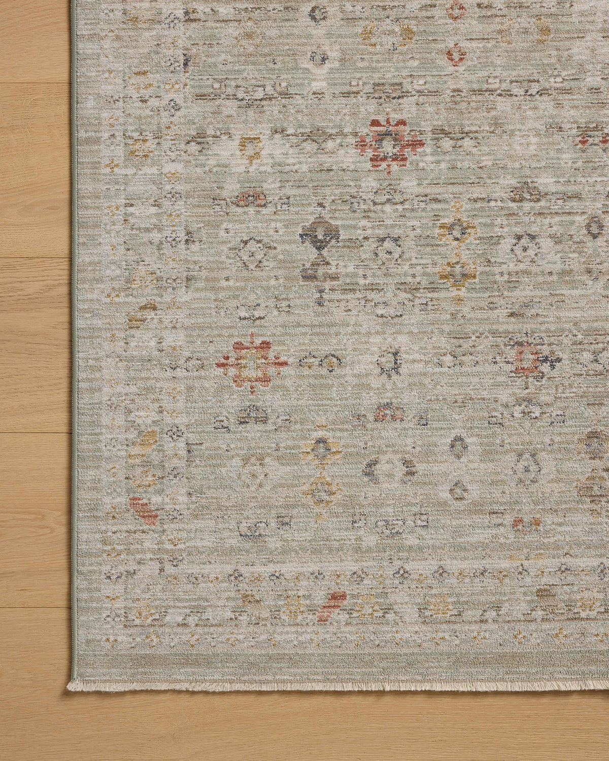 Chris Loves Julia x Loloi Ida Area Rug
