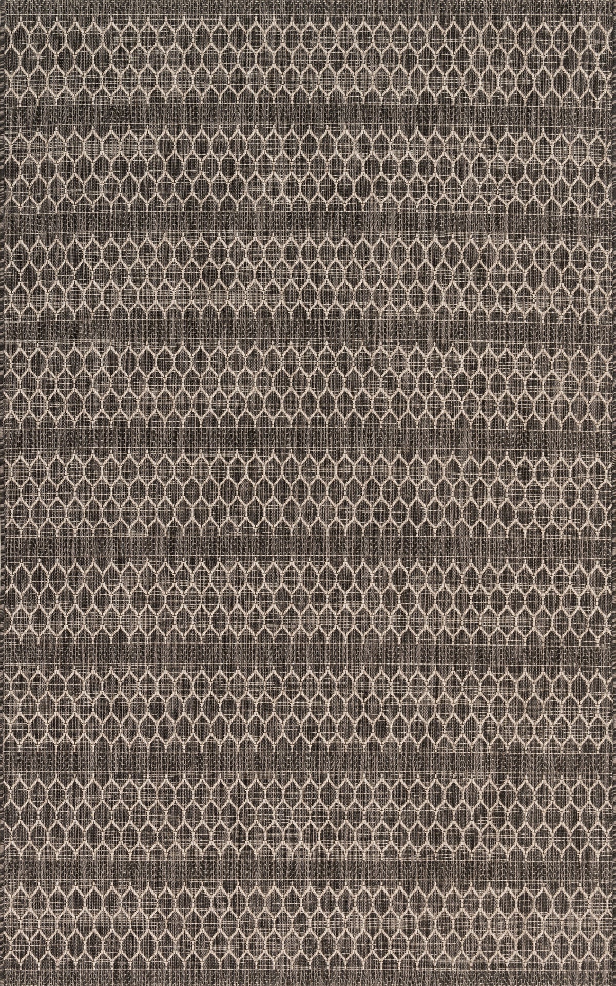 Loloi Area Rug