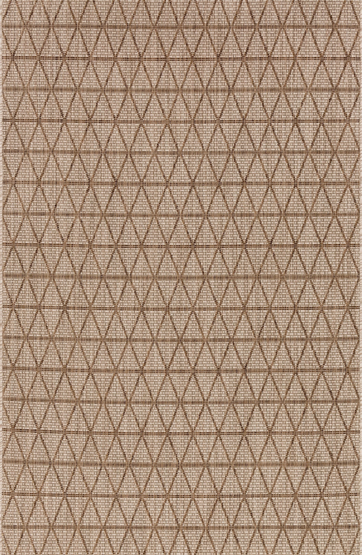 Loloi Area Rug