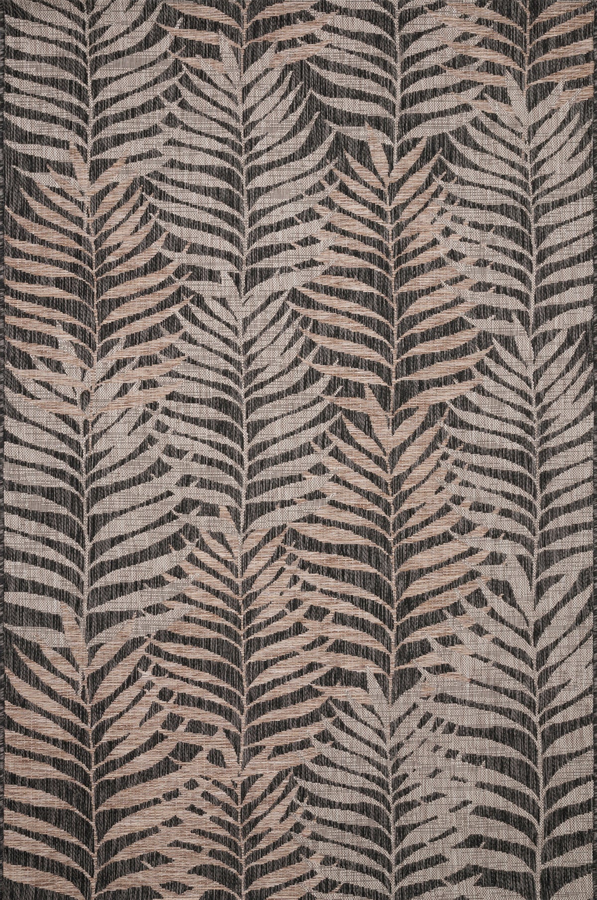 Loloi Area Rug
