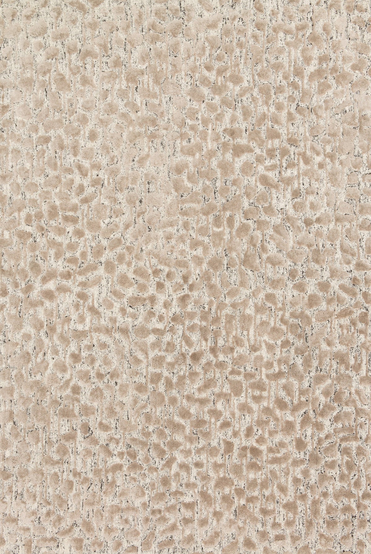 Loloi Juneau 18" x 18" Sample Rug