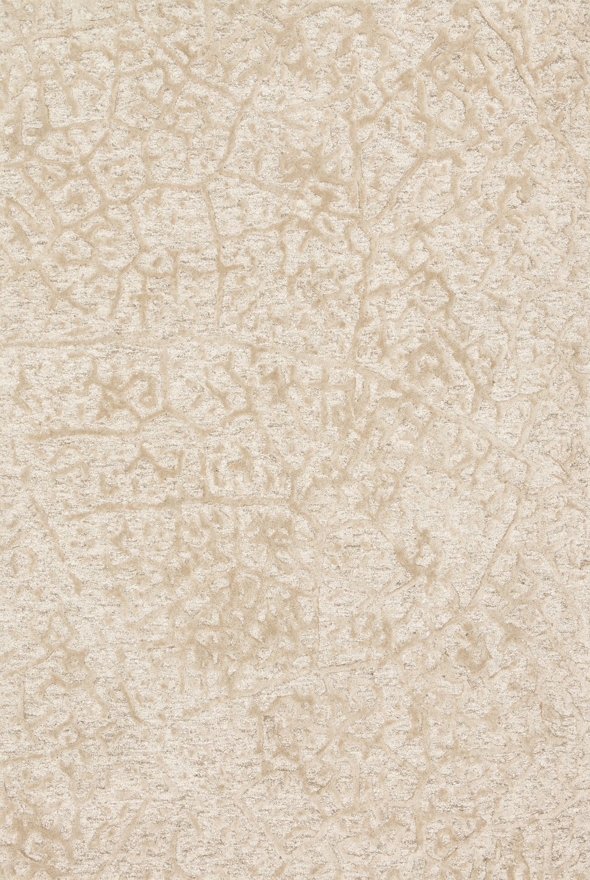 Loloi Juneau 18" x 18" Sample Rug