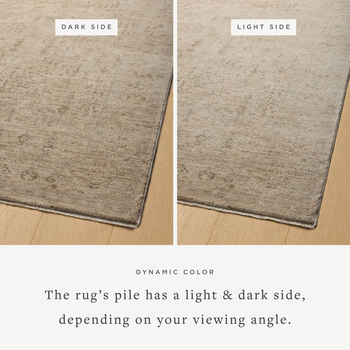 Magnolia Home by Joanna Gaines x Loloi  18" x 18" Sample Rug