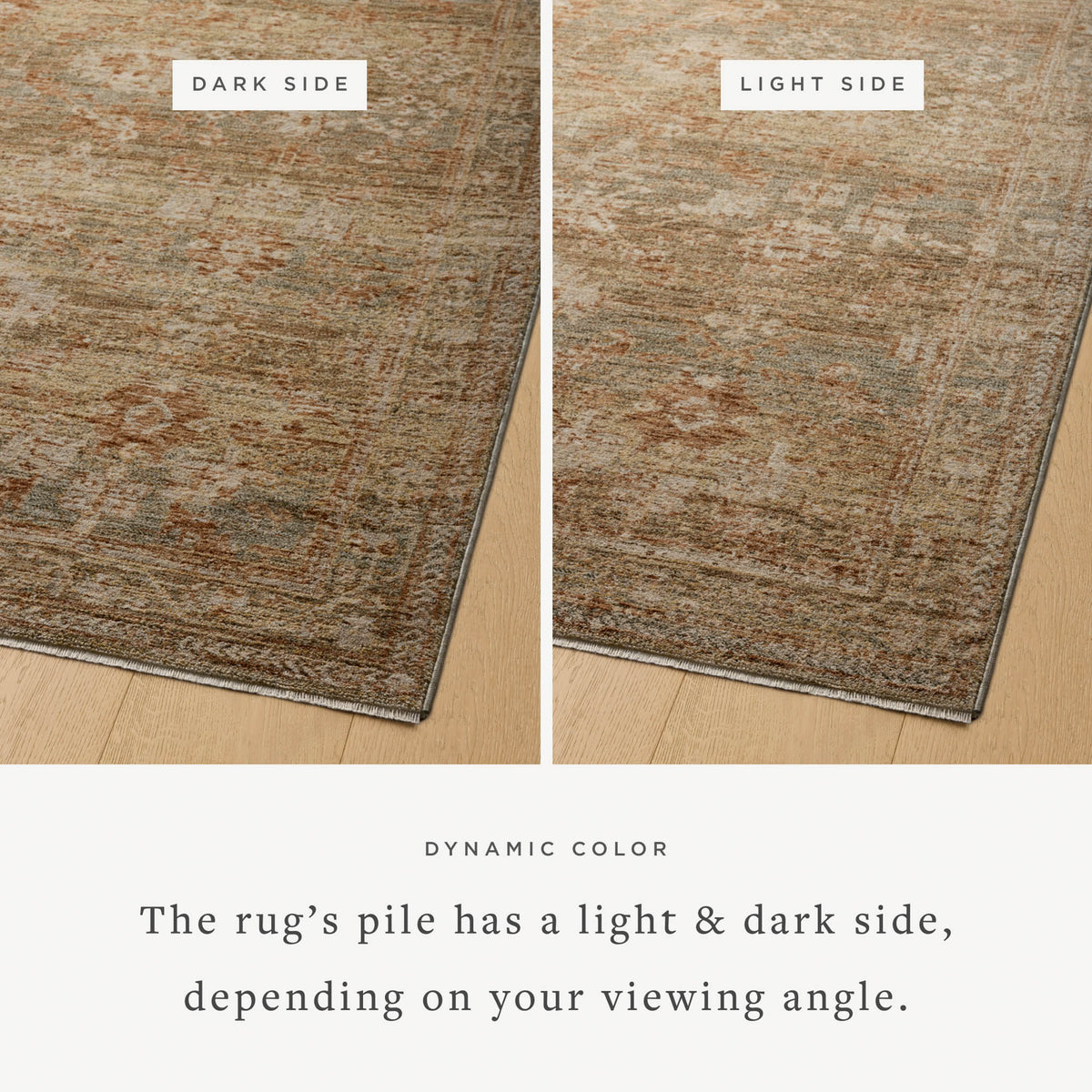 Magnolia Home by Joanna Gaines x Loloi  18" x 18" Sample Rug