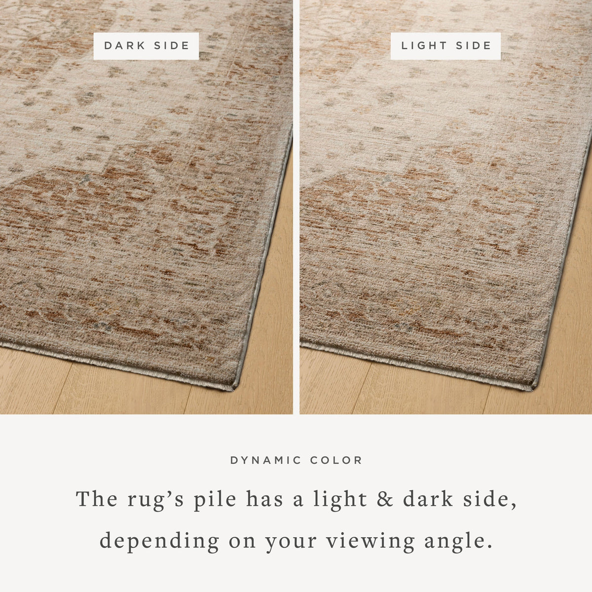 Magnolia Home by Joanna Gaines x Loloi  18" x 18" Sample Rug