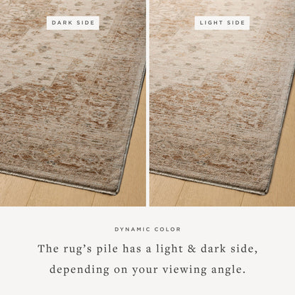 Magnolia Home by Joanna Gaines x Loloi  18" x 18" Sample Rug
