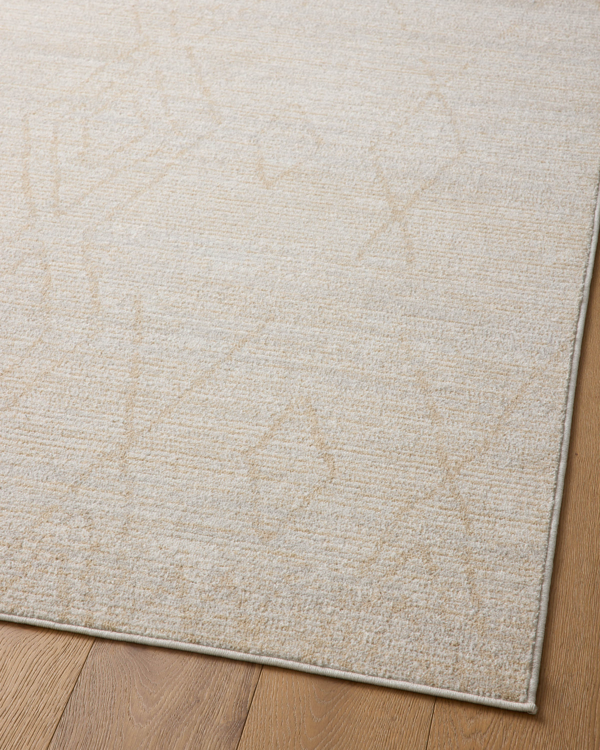 Loloi Kamala 18" x 18" Sample Rug
