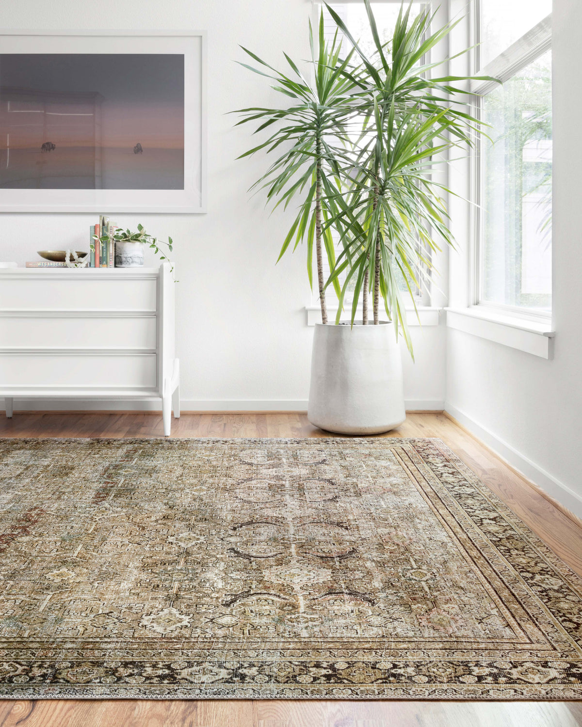 Loloi Layla Area Rug