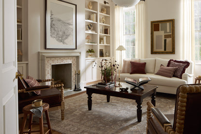 Chris Loves Julia x Loloi Louisa Area Rug