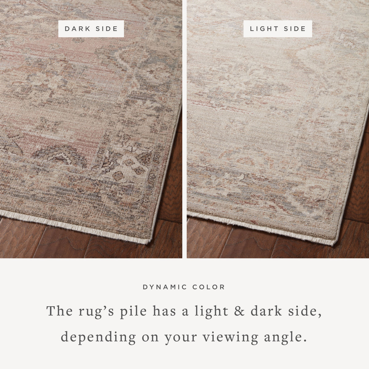 Loloi Lyra 18" x 18" Sample Rug