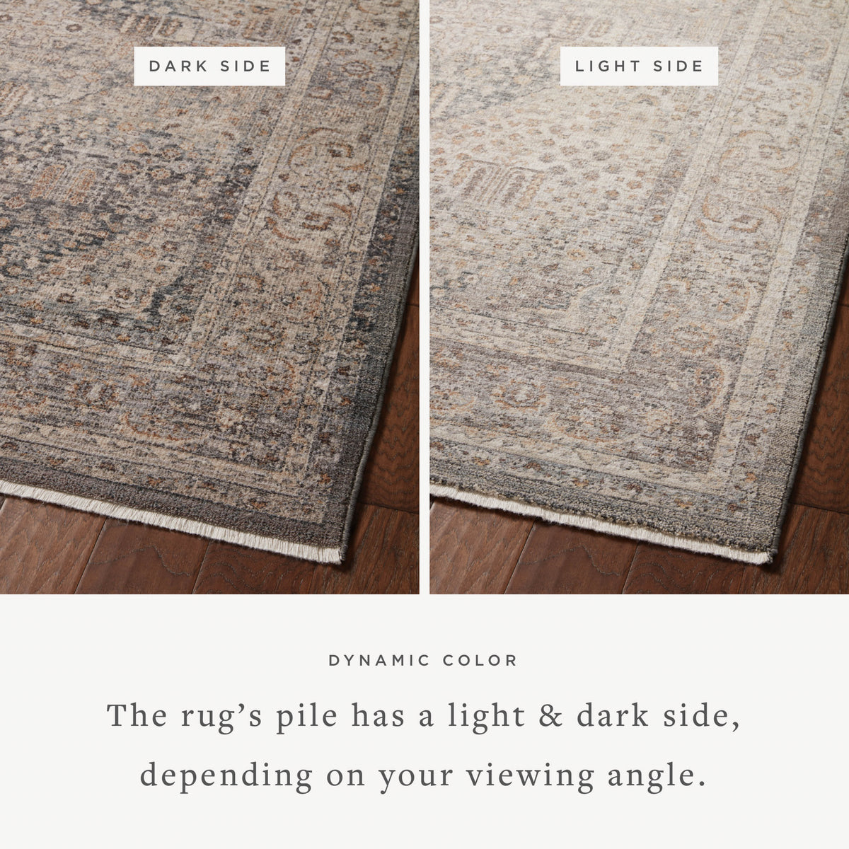 Loloi Lyra Area Rug