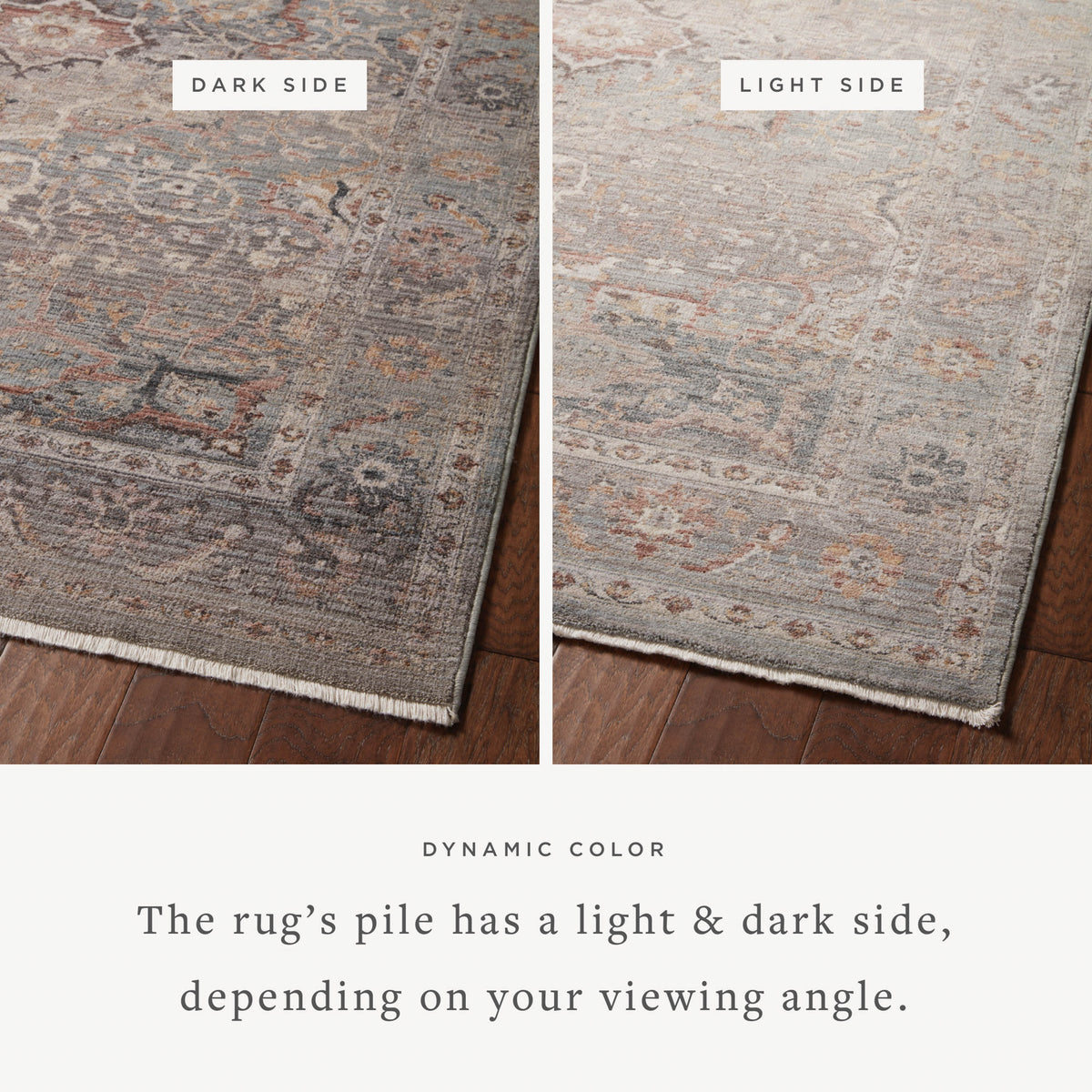 Loloi Lyra Area Rug