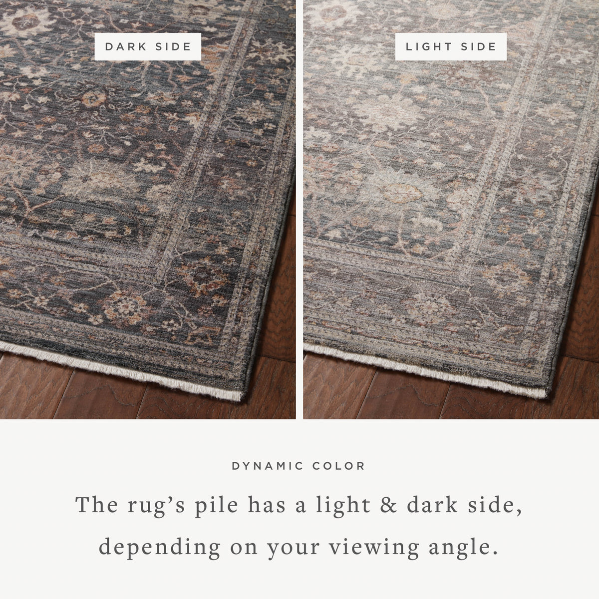 Loloi Lyra 18" x 18" Sample Rug