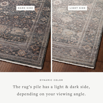 Loloi Lyra 18" x 18" Sample Rug