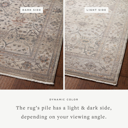Loloi Lyra 18" x 18" Sample Rug