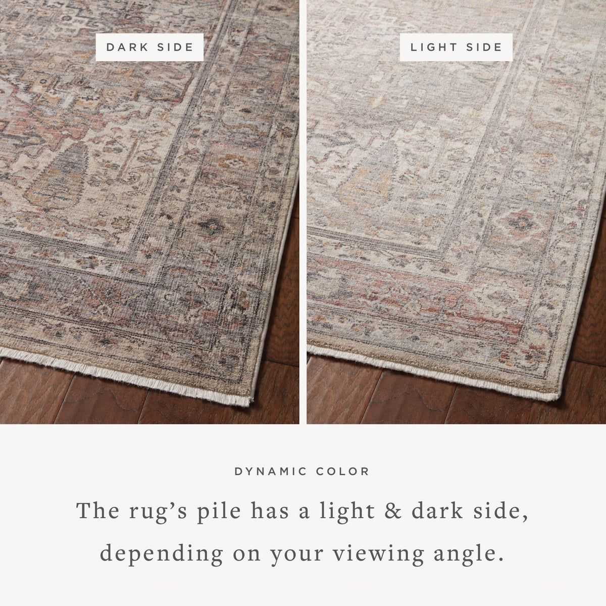 Loloi Lyra 18" x 18" Sample Rug