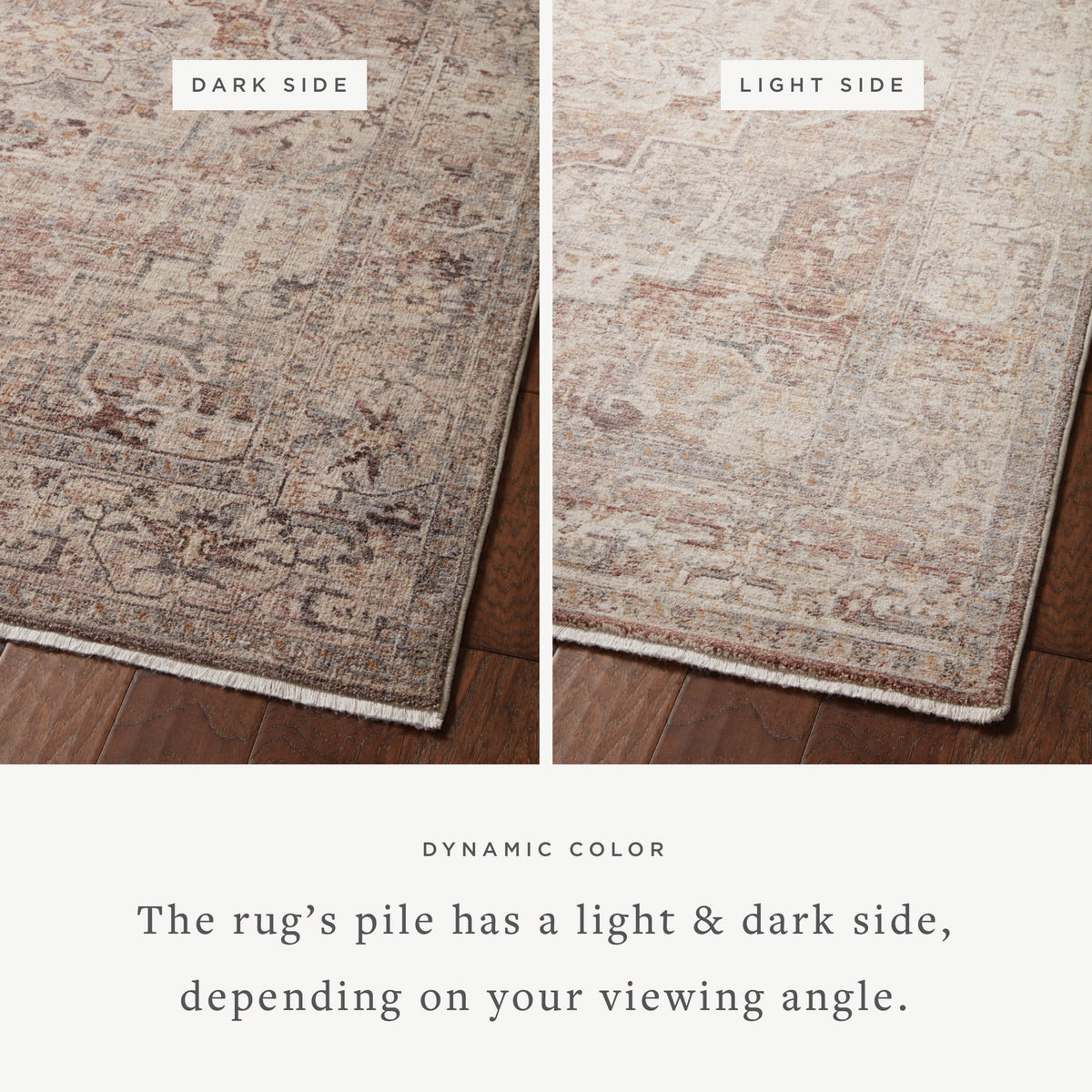 Loloi Lyra 18" x 18" Sample Rug