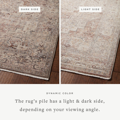 Loloi Lyra Area Rug