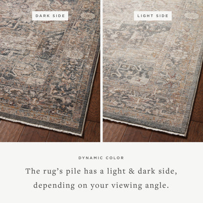 Loloi Lyra 18" x 18" Sample Rug