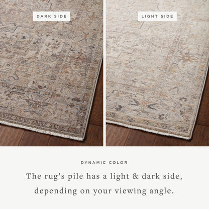 Loloi Lyra 18" x 18" Sample Rug