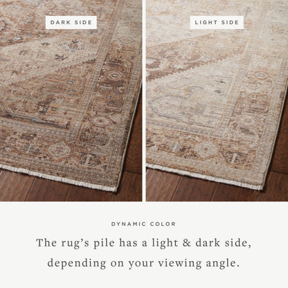 Loloi Lyra 18" x 18" Sample Rug