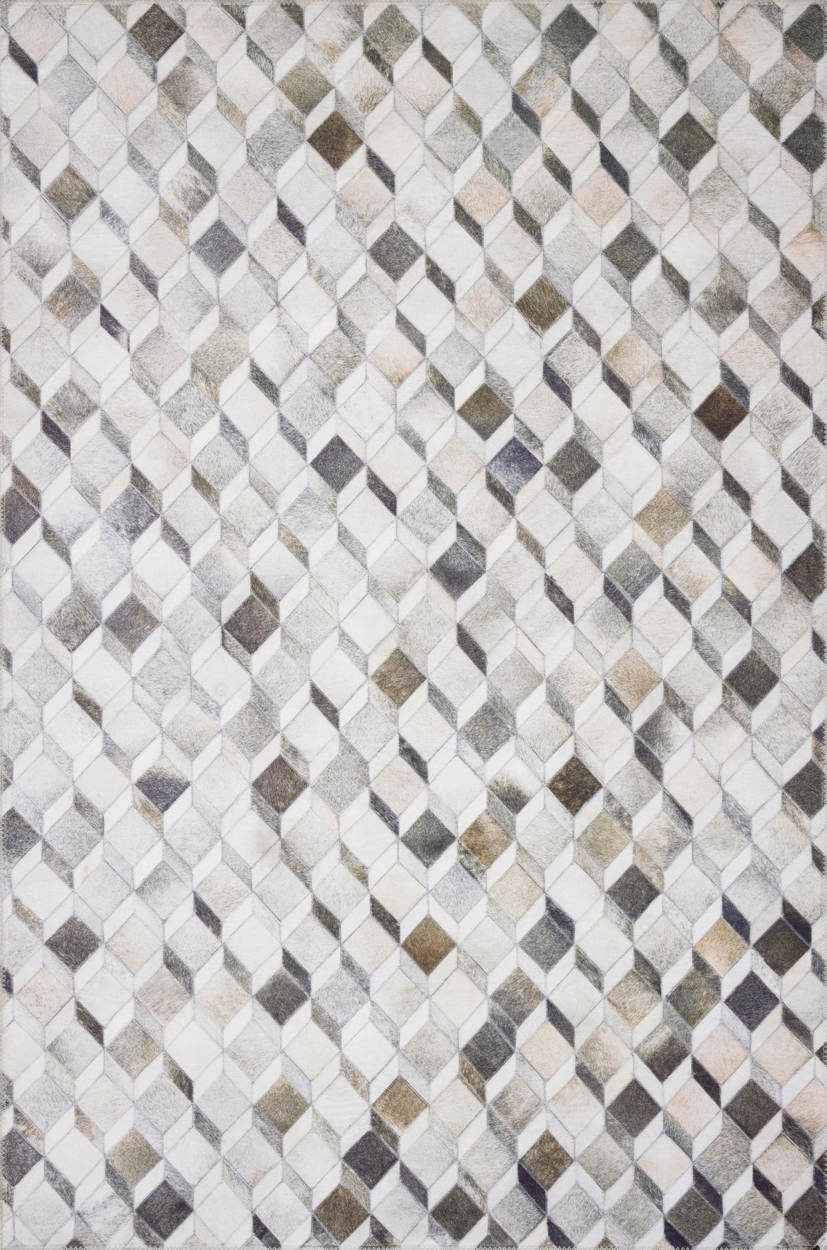 Loloi Maddox Area Rug