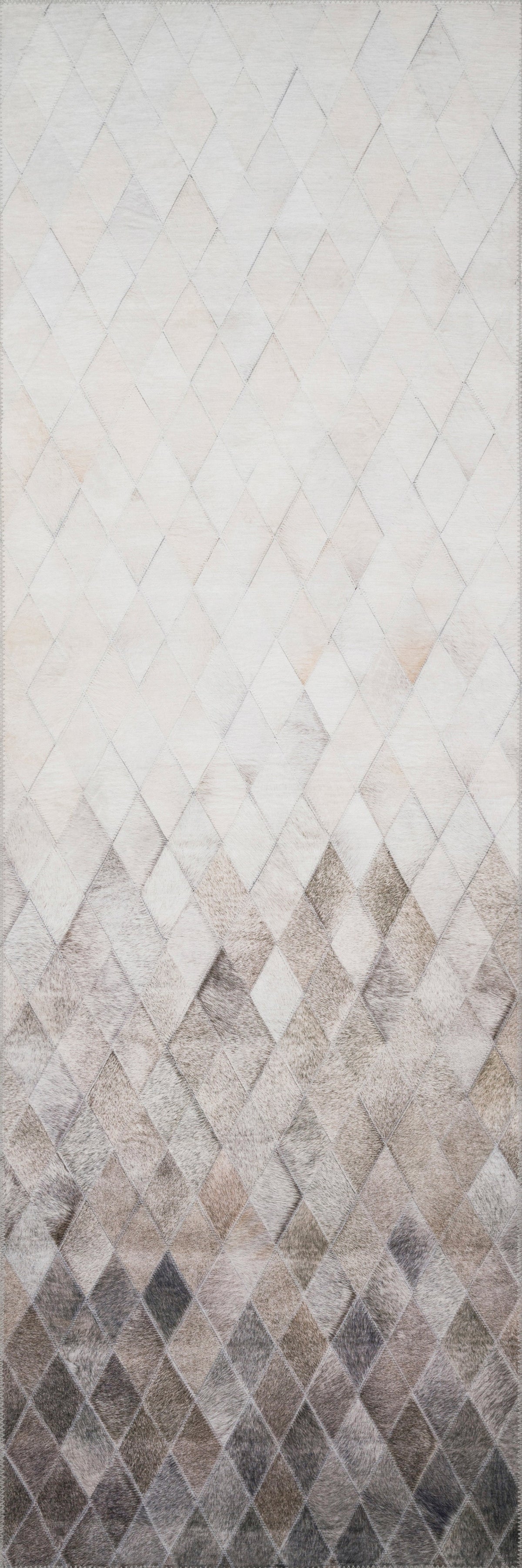 Loloi Maddox Area Rug