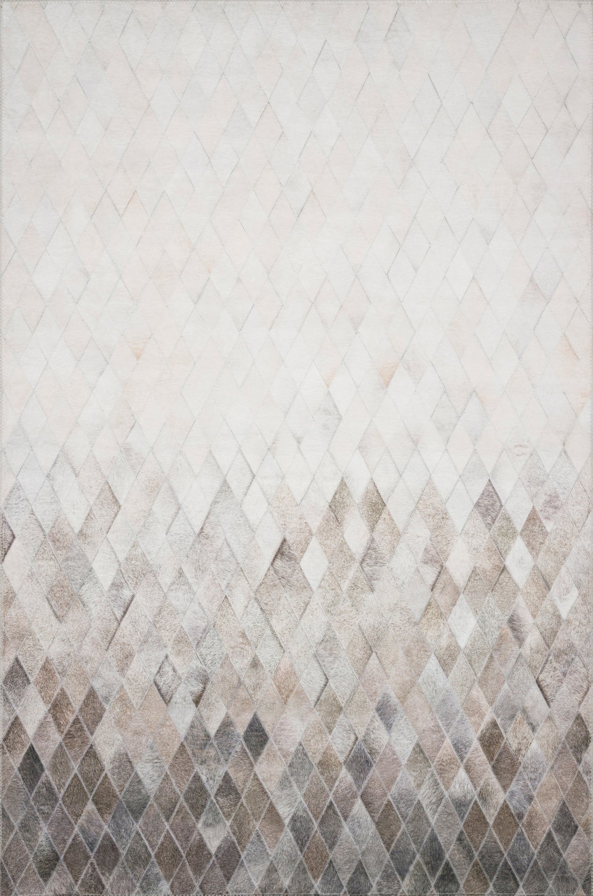 Loloi Maddox Area Rug