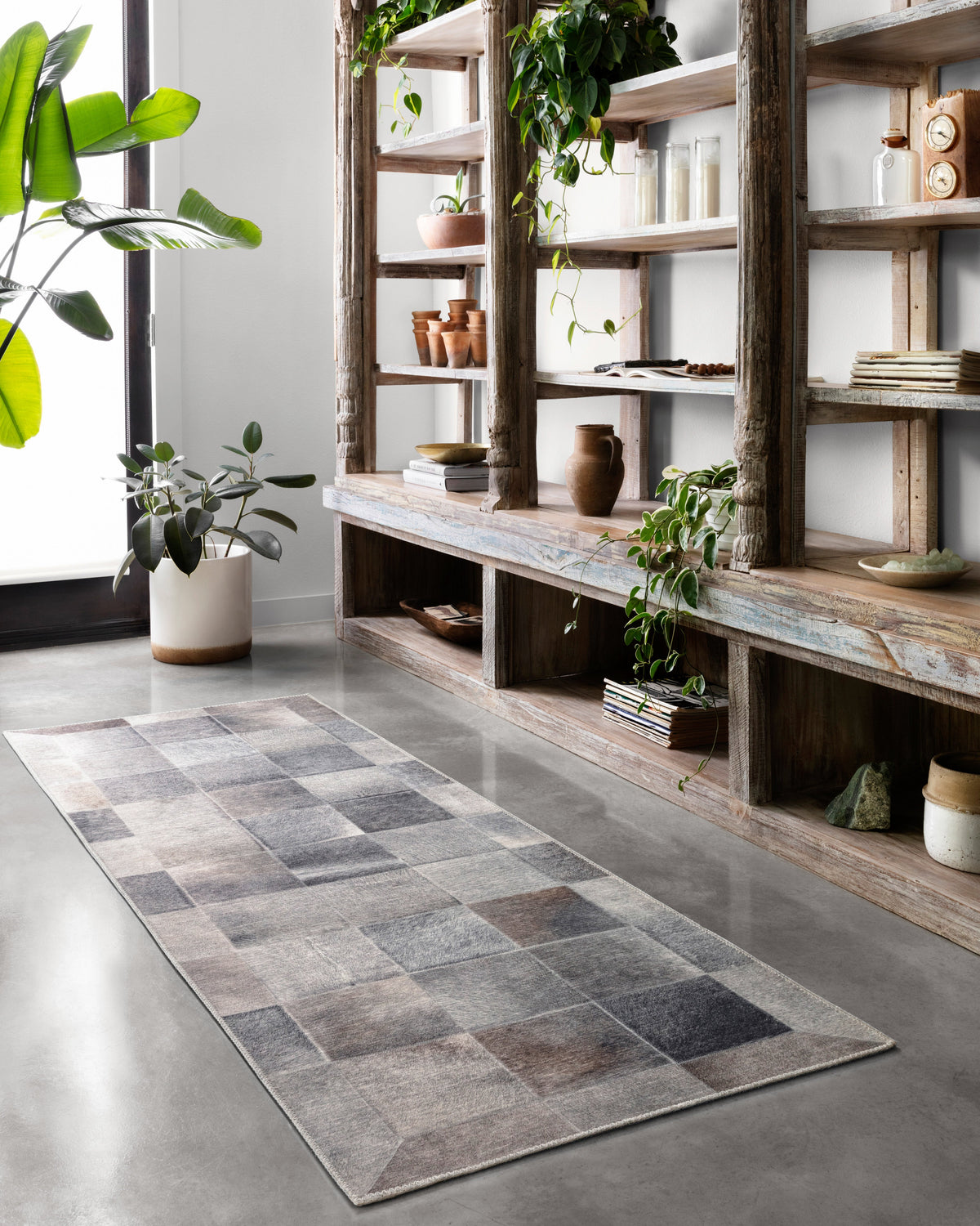 Loloi Maddox Area Rug