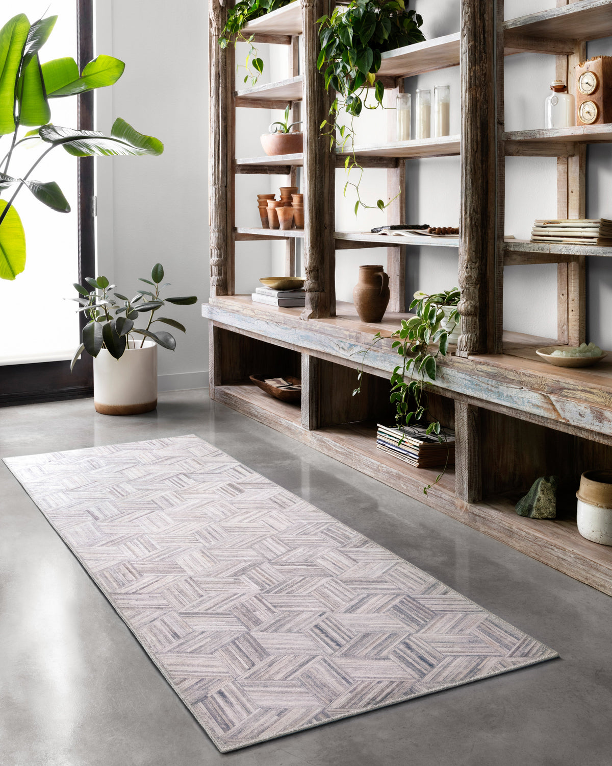 Loloi Maddox Area Rug