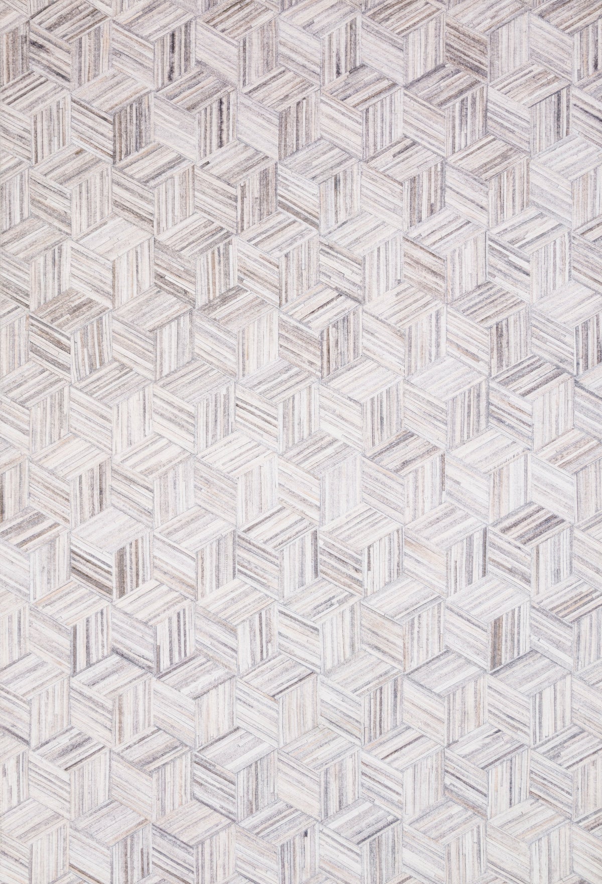 Loloi Maddox Area Rug