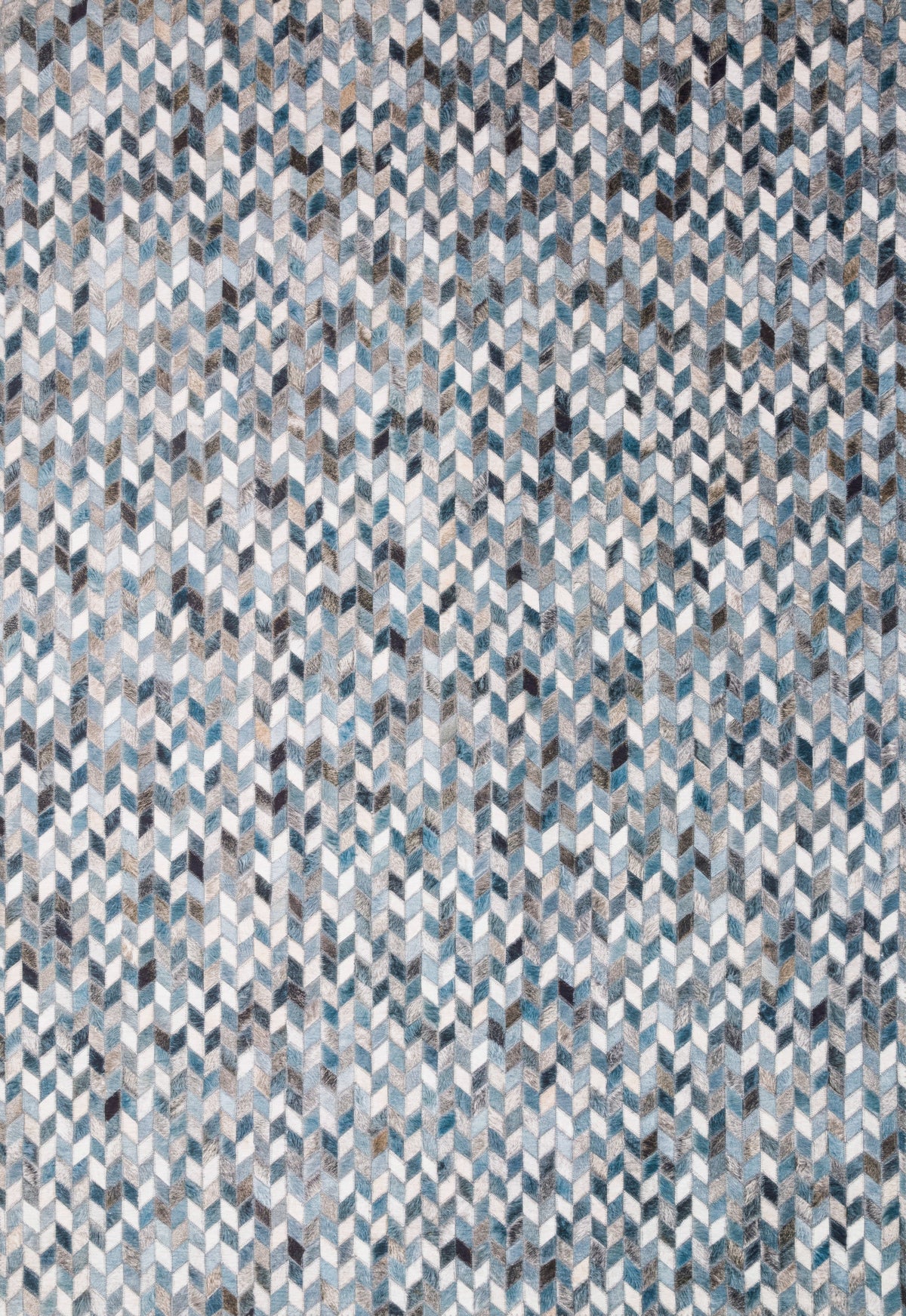 Loloi Maddox Area Rug
