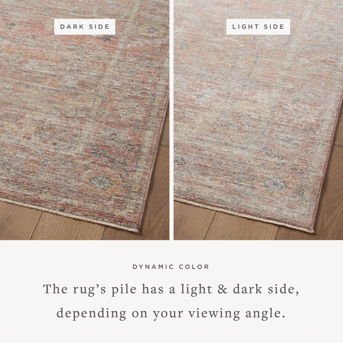Magnolia Home by Joanna Gaines x Loloi  18" x 18" Sample Rug