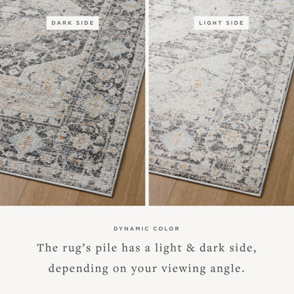 Monroe Accent Rug