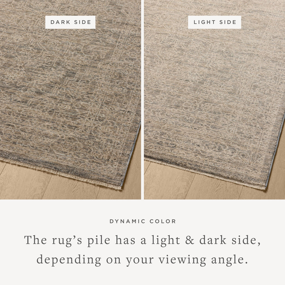 Loloi Newman Area Rug